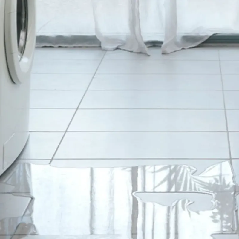 Appliance Leak Cleanup in Dryden, NY